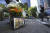 미국 워싱턴주 시애틀에서 묻지마 총격으로 숨진 한인 여성 권모씨를 추모하는 꽃다발과 사진. AP=연합뉴스