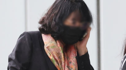검찰, ‘경기도 법카 유용 의혹’ 배모씨에 징역 1년 구형