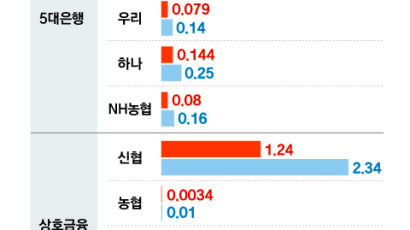 정부지원에 눌러진 코로나 연체율…경기침체 오면 ‘용수철 효과’ 우려