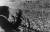 김대중 신민당 대통령 후보가 1971년 4월 18일 서울 장충단공원이 인산인해를 이룬 가운데 7대 대선 투표일을 열흘 앞두고 지지를 호소하고 있다. [사진 연세대 김대중도서관, 중앙포토]