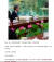중국 신화사가 운영하는 소셜미디어 매체 ‘뉴탄친(牛彈琴)’은 미국의 후속 행동을 주시해야 한다고 짚었다. 사진 중국 웨이신 '뉴탄친' 계정 캡처 