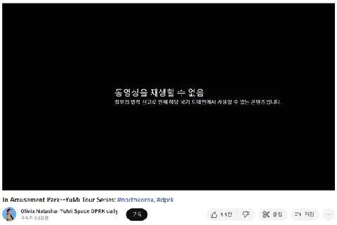 "평양 유미예요" 돌연 사라진 北유튜버, 알고보니 국정원 요청