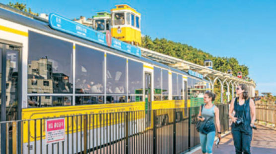 [시선집중] 친환경 해변열차와 스카이캡슐, 부산의 대표 핫플레이스로 자리매김