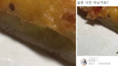 "우리 피자 아닌데"…환불요구한 '머리카락 피자' 사진 정체