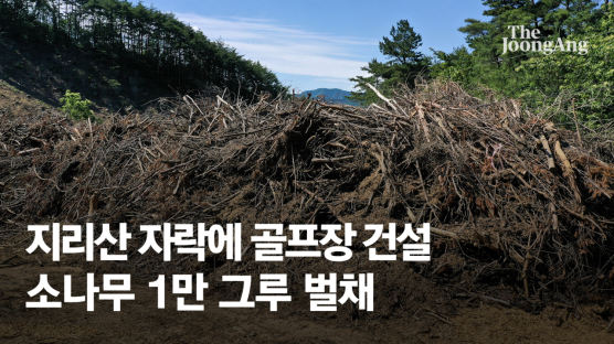 지리산 정상부에 골프장 추진… 축구장 29개 소나무 잘렸다