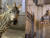 지난 21일 서울어린이대공원으로 이주한 얼룩말 코코(왼쪽), 코코와 세로의 첫 만남. 유튜브 채널 '서울시설공단TV' 캡처