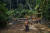 브라질 아마조나스 주 후마이타 인근 아마존 열대우림에서 무라 원주민이 포즈를 취하고 있다. 숲은 목재 제공과 공기 정화 등 다양한 생태계 서비스를 제공한다. 로이터=연합뉴스