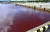 일본 오키나와 오리온 맥주 공장에서 냉각수가 유출돼 인근 바다가 붉게 물들었다. 사진 재팬타임스 캡처