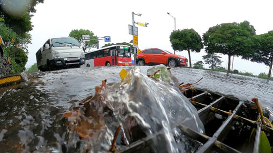 '서울 34도' 주말 사우나처럼 푹푹 찐다…남부·제주는 물폭탄