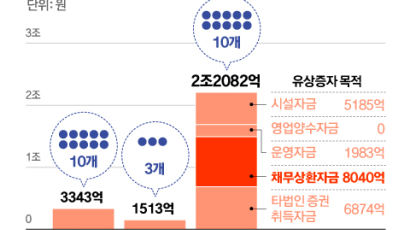 "개미 주머니 털어 빚 갚는다"…CJ·SK 1조 유상증자 후폭풍