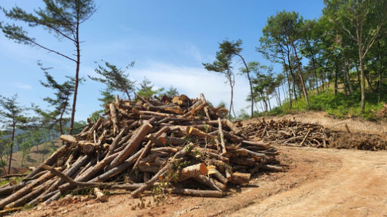 고성군, 버려진 산림 부산물 에너지원으로 활용
