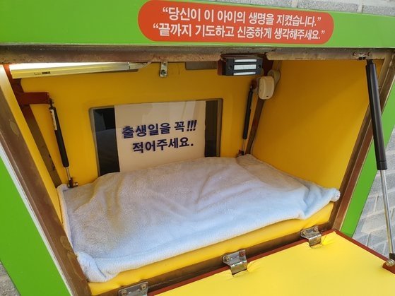 임신 중에 개를 키우는 것은 위험한가요