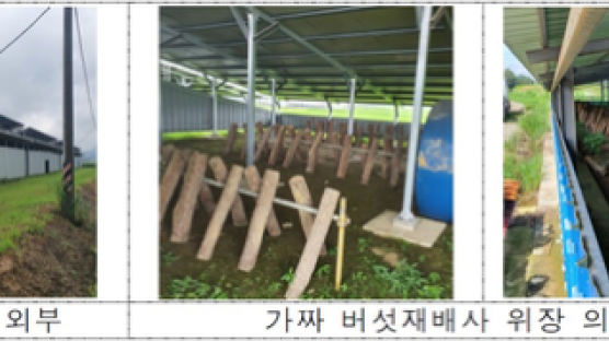 [사설] 전기료 투입 기금서 가짜 서류로 대출, 줄줄 샌 태양광사업