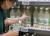 4일 서울의 한 대형마트에서 시민들이 막걸리를 고르고 있다. 국내 막걸리의 경우 서울장수의 경우 '달빛유자 막걸리'를 제외한 모든 제품에 들어있으며 지평주조 '지평생막걸리', 국순당 '생막걸리' 등에 아스파탐이 들어있다. 뉴스1