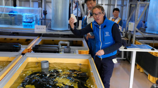 IAEA “후쿠시마 생선 안전”…한국 “수입금지, 방류와 별개”