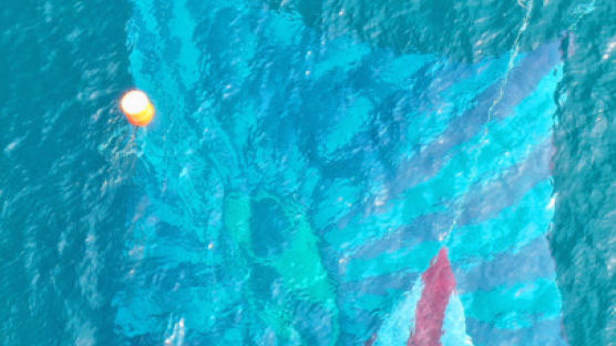 "오염수 불안감, 수산업 위협"…어선들 현수막 달고 조업 나섰다