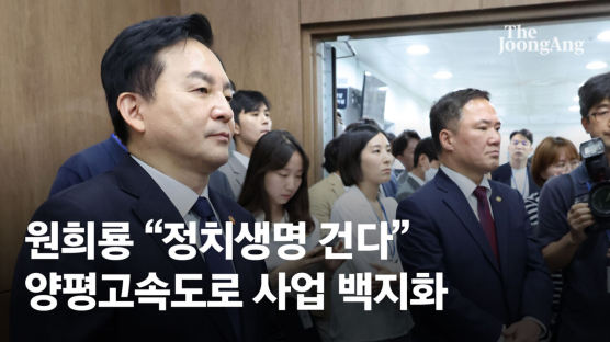 與 "양평고속도로 백지화 아니다"…그 뒤엔 2020 악몽