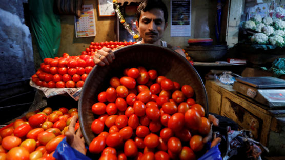 "아이폰이랑 바꾸자"…인도서 445％ 폭등, 기름보다 비싼 채소