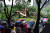 2018년 수원 영통 느티나무가 부러지자 시민들이 우산을 쓴 채 나무를 바라보고 있다. [사진 수원시]