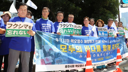 민주당, 또 일본 집단 원정…당내 “167석을 장외투쟁에만 써”
