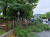11일 오후 광주 북구 일곡3근리공원에서 북구청 관계자들이 폭우로 쓰러진 나무를 정리하고 있다. 연합뉴스