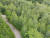 하늘에서 본 경북 영양 죽파리 자작나무 숲. 죽파리 자작나무 숲은 약 0.3㎢ 면적으로 마라도 크기와 비슷하다.