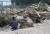 16일 오전 경북 예천군 감천면 벌방리 마을이 산사태로 초토화된 가운데 한 주민이 주저 앉아 있다. 연합뉴스