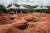 케냐에서 사이비 종교에 속아 400명 넘는 사망자가 나왔다. 사진은 지난 5월 시신을 묻기 위해 땅을 파는 현장. AFP=연합뉴스