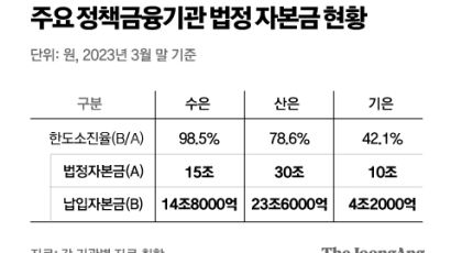 방산·원전·우크라, 새 시장 열리는데…정책금융 한도가 발목 잡을라