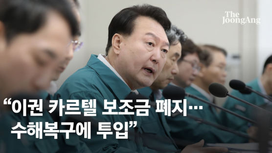 [속보] 尹대통령 “가능한 빠른 시일 내 특별재난지역 선포”