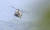 지난 6월 경북 성주군 주한미군 고고도 미사일방어체계(THAAD·사드) 기지에서 발사대가 하늘을 향한 가운데 미군 헬기가 기지 주변을 비행하고 있다.   연합뉴스