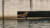 포항 영일만항 북방파제에 나타난 큰바다사자. 사진 포항해양경찰서