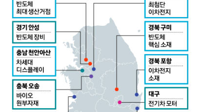 반도체는 경기도, 2차전지·디스플레이는 비수도권 거점