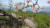 경남 함양군이 2021년 4월 문을 연 '함양대봉산휴양밸리' 모노레일. 관광객을 태운 차량이 대봉산 정상까지 3.93㎞ 이어진 모노레일 위를 달리고 있다. [사진 함양군]