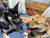  케빈 브라이트 감독은 한국 개농장에서 구출한 반려견 호프와 오스카의 사진을 보여주며 "소위 식용견이라는 개도 다른 개와 다를 게 없다"고 강조했다. 사진 저스트 브라이트 프로덕션스