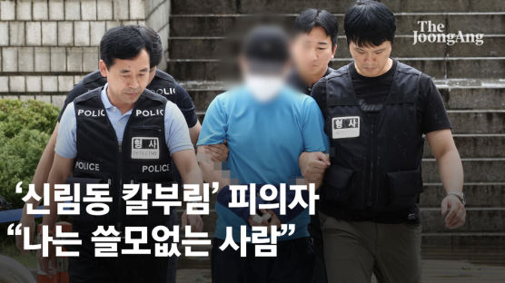'신림 흉기난동' 피의자 조씨 신상공개 여부 26일 결정
