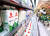 19일 오후 서울의 한 이마트에서 시민들이 우유를 고르고 있다. 연합뉴스