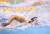 황선우가 26일 일본 후쿠오카 마린메세 후쿠오카홀에서 열린 2023 세계수영선수권 남자 100m 자유형 준결선에서 역영하고 있다. 연합뉴스 