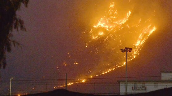 [사진] 남유럽 산불 확산 … 팔레르모공항 폐쇄