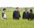 시진핑 중국 국가주석(가운데)이 지난 5월 허베이성 북부 창저우시의 밀밭을 시찰하고 있다. 신화=연합뉴스
