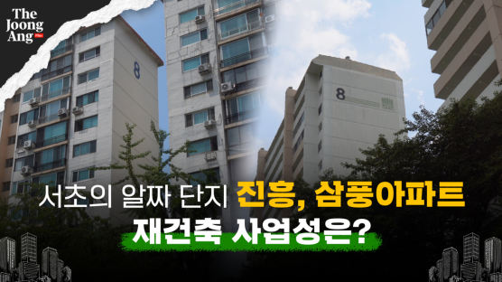 “50층 땐 평당 1억”…서초진흥 재건축 운명, 122명에 달렸다