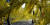 청계천 광장에 설치됐었던 임옥상 작가의 '못다 핀 꽃' 작품의 노란 리본이 바람에 날리고 있다. [중앙일보]