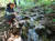 지난 21일 오전 전남 구례군 산동면 지리산에 오른 사포마을 주민 전경숙씨가 최근 장맛비에 물길로 변한 야생화(앵초) 군락지를 살펴보고 있다. 프리랜서 장정필
