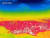 서울, 경기 등 중부지방에 폭염경보가 발효 중인 30일 오후 서울 남산에서 열화상카메라로 촬영한 도심 모습.   사진 속 높은 온도는 붉은색으로, 낮은 온도는 푸른색으로 표시된다. 사진 연합뉴스