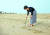 2013년 취임 후 첫 여름휴가를 저도로 떠났던 박근혜 전 대통령은 당시 자신의 페이스북에 올린 사진. 해변 모래사장에 '저도의 추억'이라는 글자를 쓰고 있다. 박근혜 전 대통령 페이스북