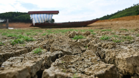 베트남 북부, "10년이래 최악" 폭염·가뭄에 농작물 재배 '타격'