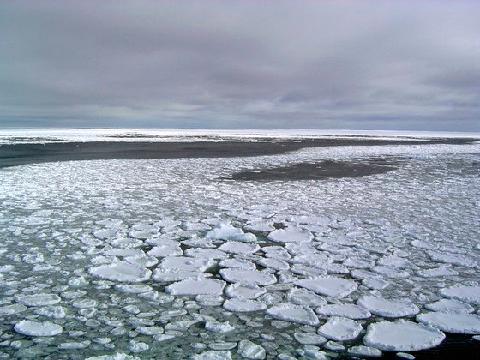 지구 식히는 '남극 얼음' 역대최저…남한 면적 26배 사라졌다
