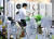 서울 용산 전자랜드에 진열된 에어컨 등 냉방기기. 뉴스1