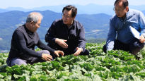 여름배추 생산지 찾아간 정황근 장관…"수급안정 위해 적극적 방제"