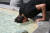 지난달 18일(현지시간) 로마의 포폴로 광장 분수대에서 한 남성이 더위를 식히기 위해 머리를 물에 담그고 있다. AFP=연합뉴스